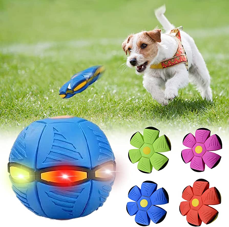 HAPPY PAWS Dog Frisbee