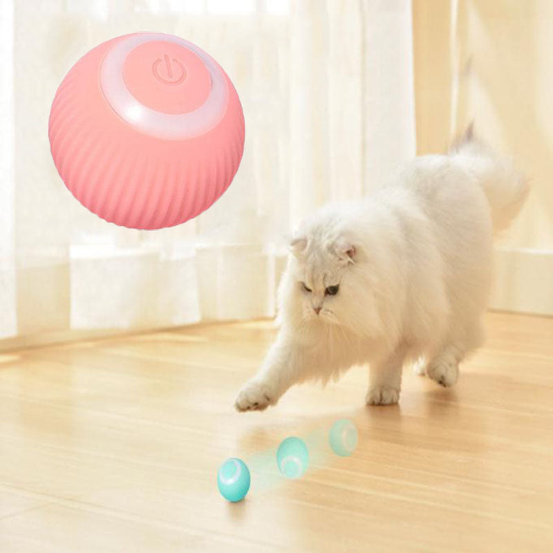 HAPPY PAWS Interactive Ball