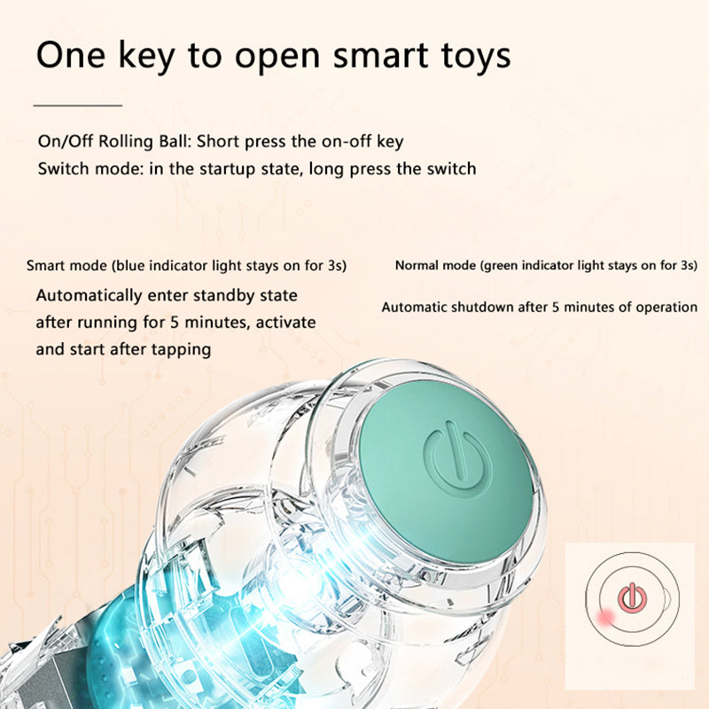 HAPPY PAWS Interactive Ball