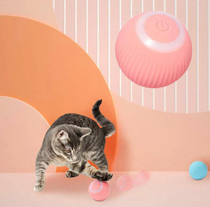 HAPPY PAWS Interactive Ball