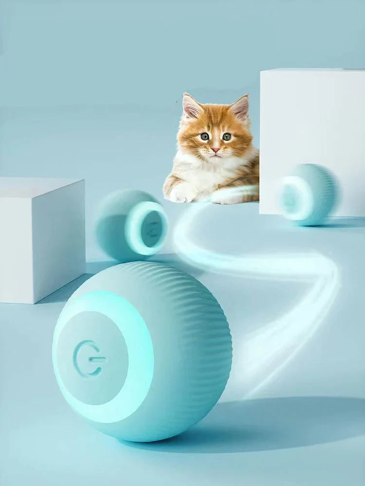 HAPPY PAWS Interactive Ball