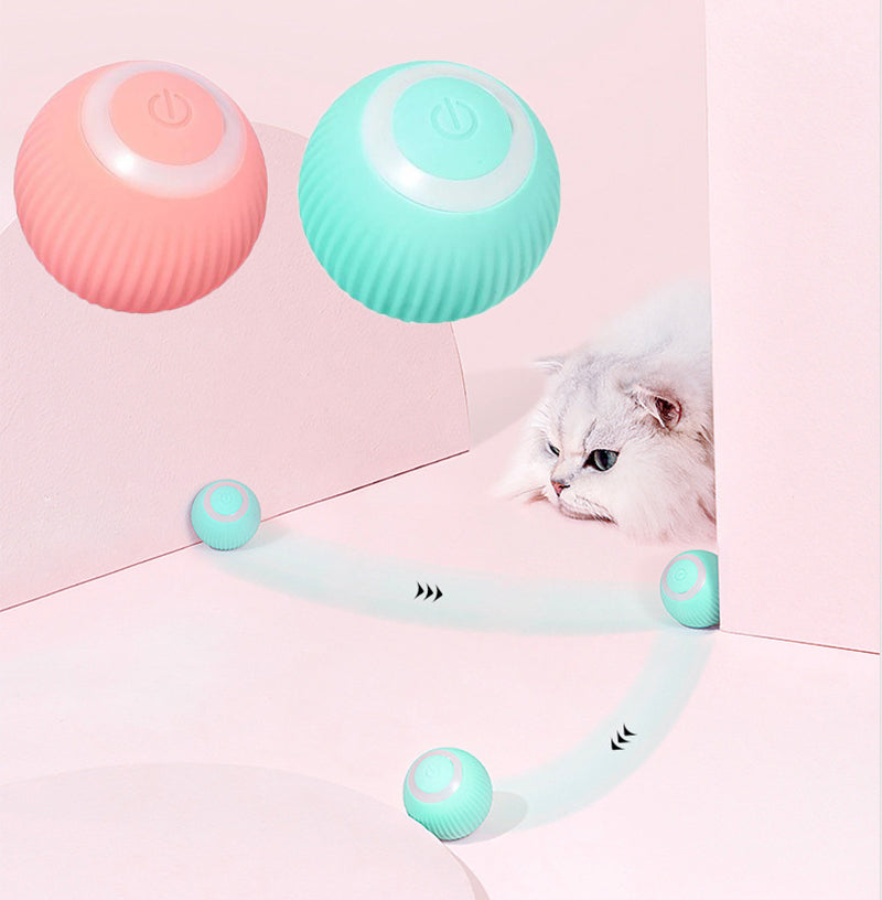 HAPPY PAWS Interactive Ball
